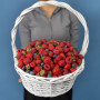 Мега корзина клубника голубика и малина